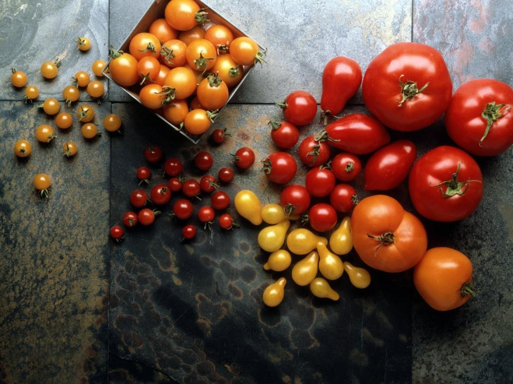 Pomodoro: alimento universale, versatile e salutare.